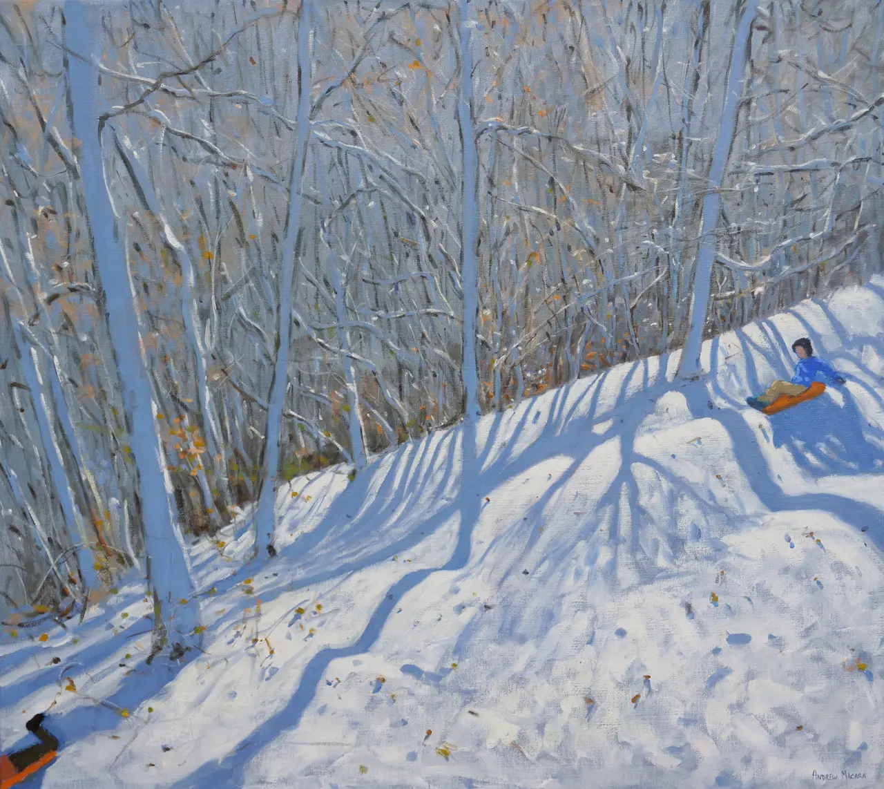 Andrew Macara - sledging through the woods, nr courchevel